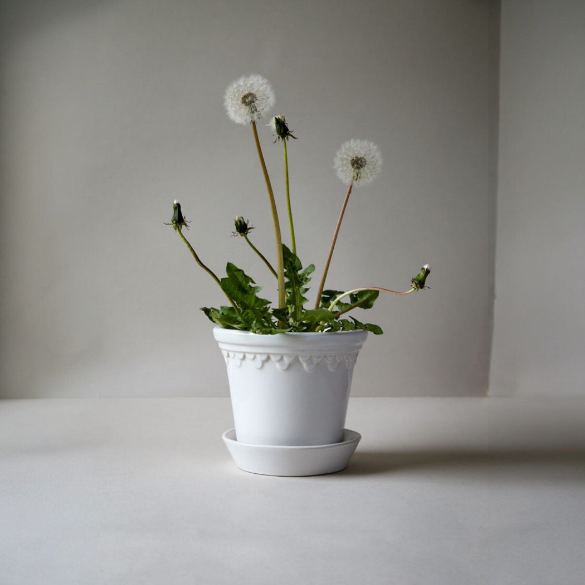 glazed plant pot saucers Castle 12 Mineral White Glazed Pot + Saucer
