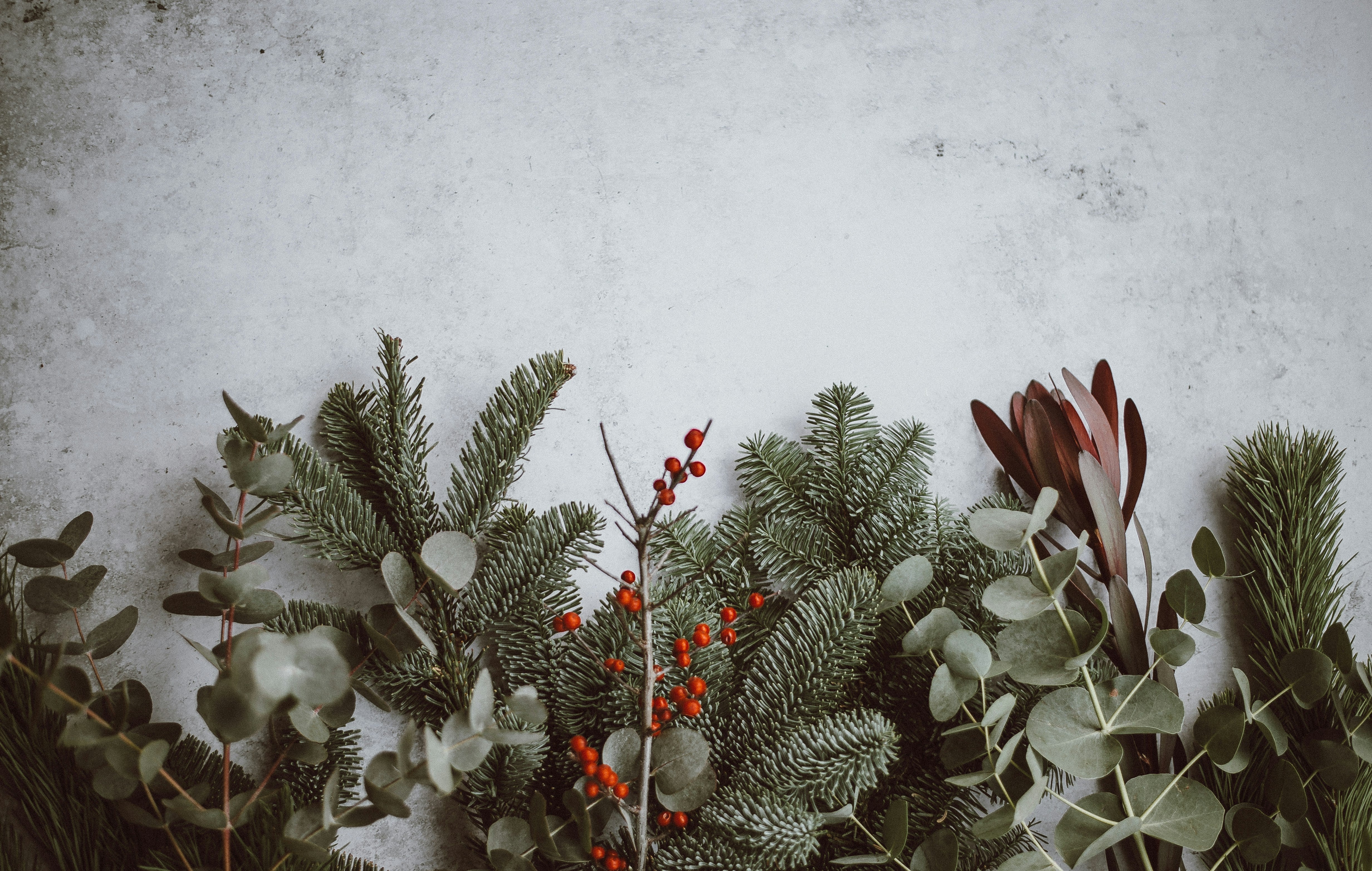 HOLIDAY SHOP