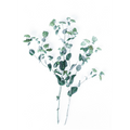 Airy | Large Framed Print