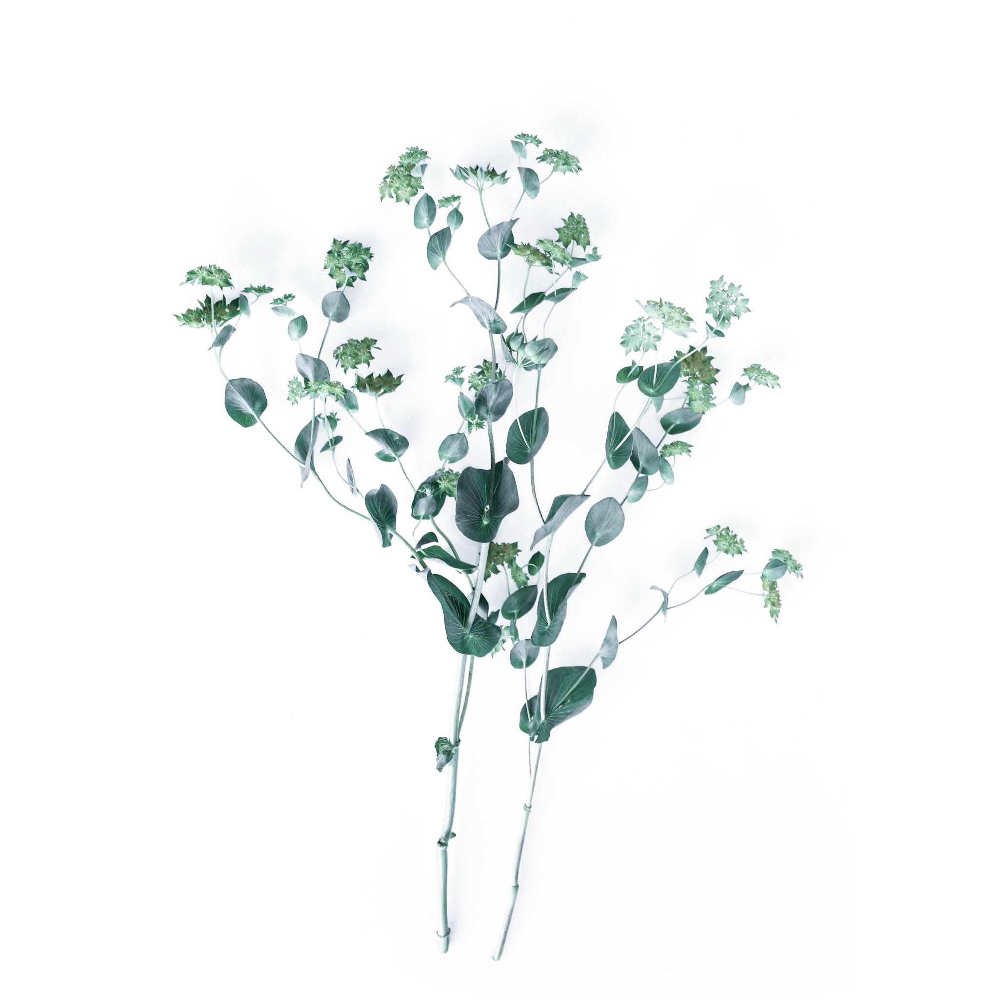 Airy | Large Framed Print
