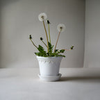 Castle 12 Mineral White Glazed Pot + Saucer
