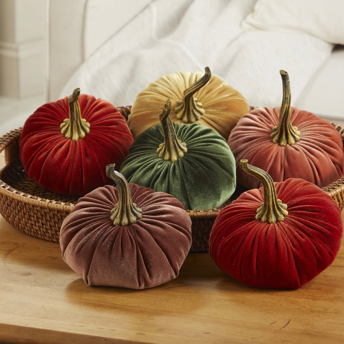 Pumpkin Large Velvet | Assorted Colors