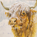 "Highland Ice" Note Card
