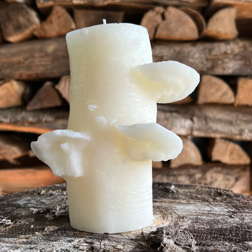 75 hr Birch Pillar | Choice of Colors