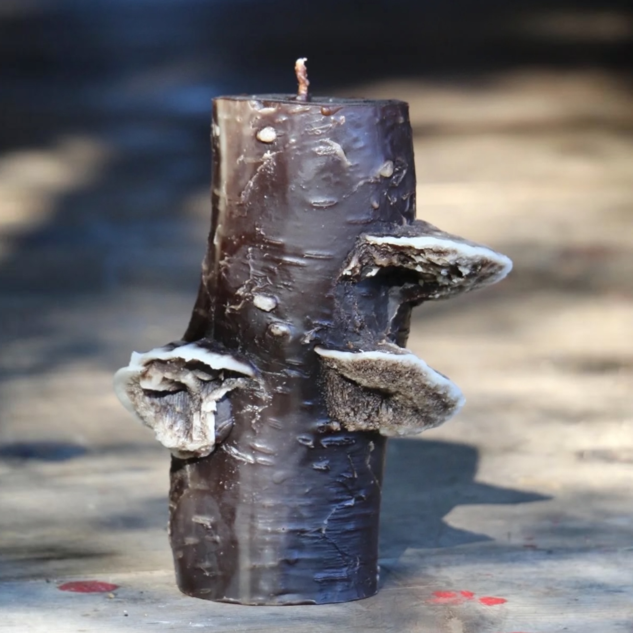 75 hr Birch Pillar | Choice of Colors