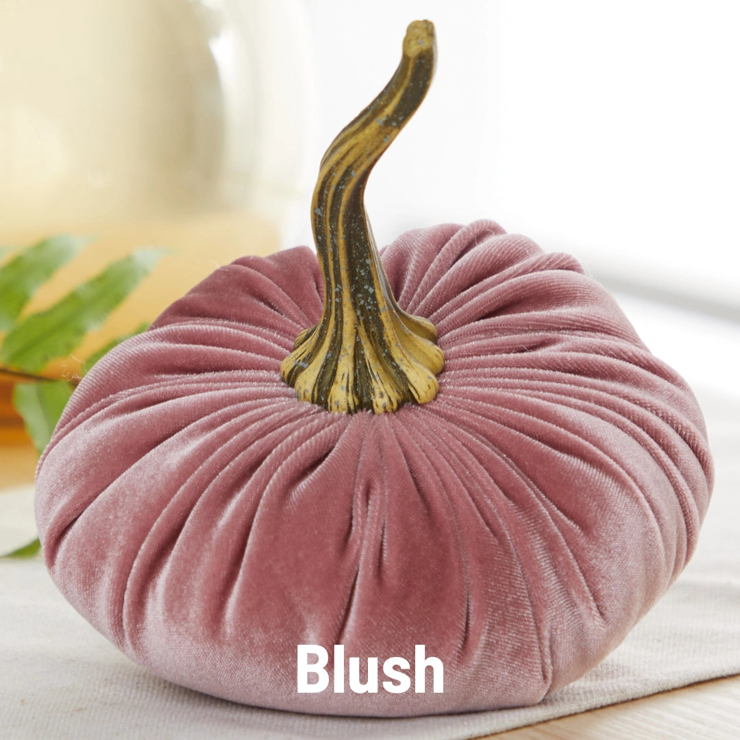 Pumpkin Small Velvet | Assorted Colors