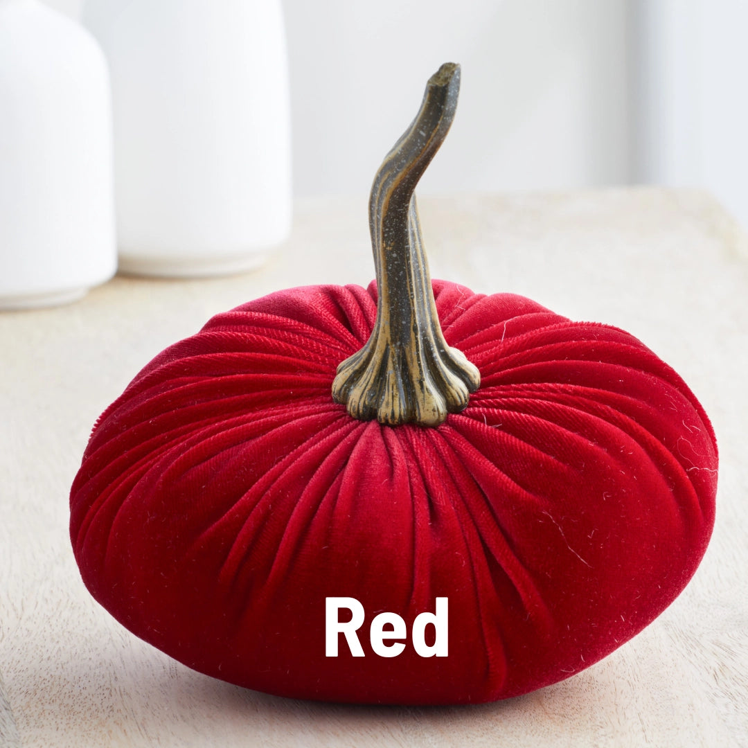 Pumpkin Large Velvet | Assorted Colors