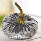 Pumpkin Large Velvet | Assorted Colors
