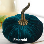 Pumpkin Large Velvet | Assorted Colors