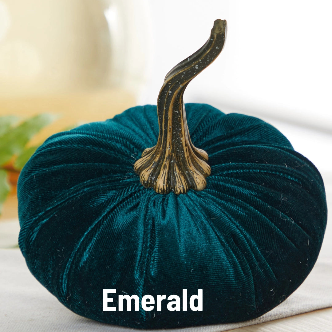 Pumpkin Small Velvet | Assorted Colors