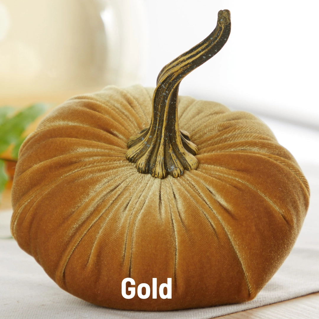 Pumpkin Large Velvet | Assorted Colors