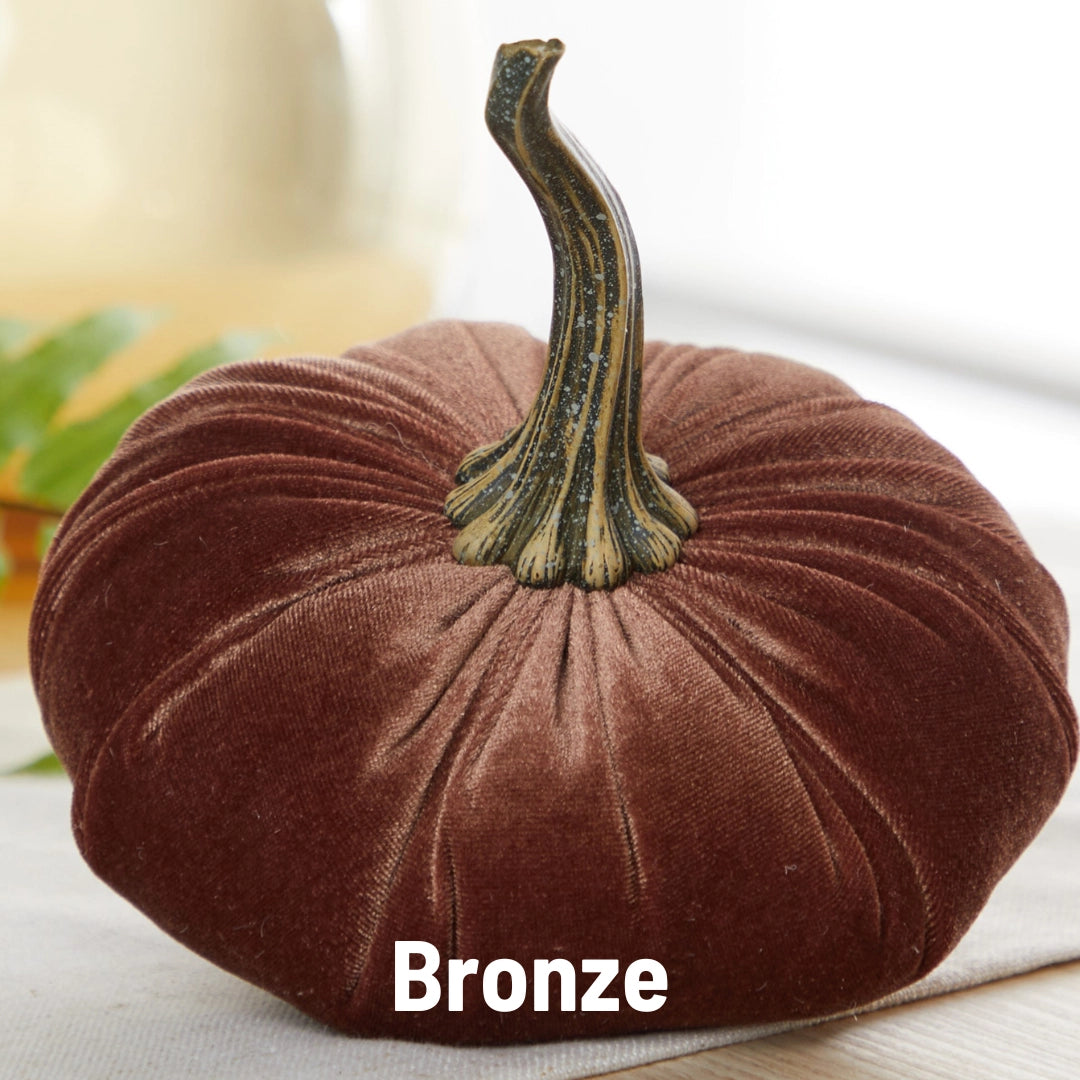 Pumpkin Small Velvet | Assorted Colors