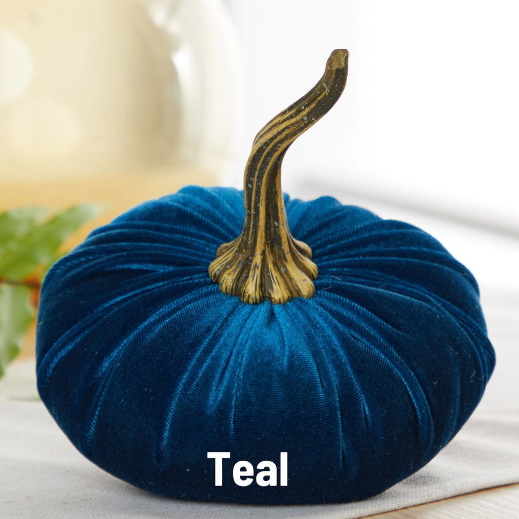 Pumpkin Large Velvet | Assorted Colors