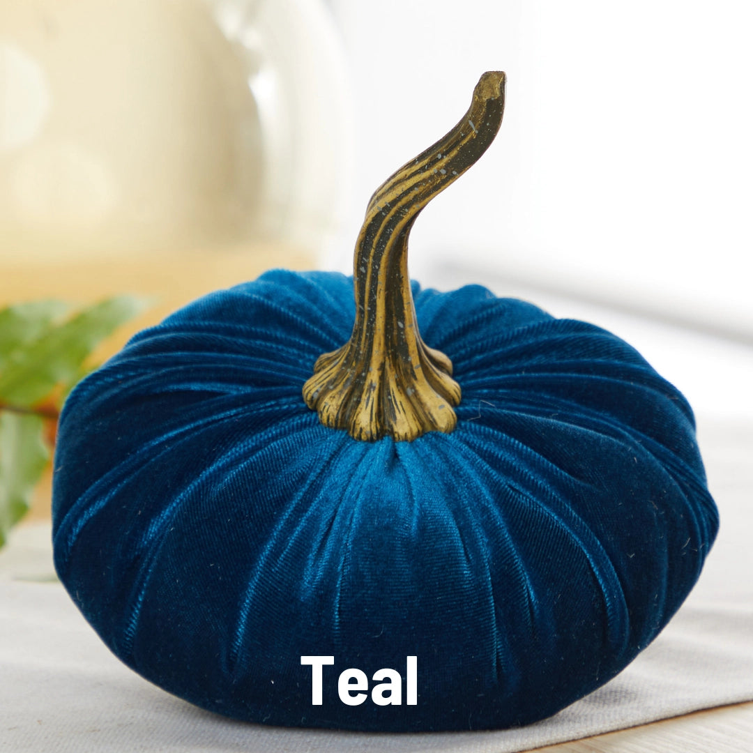 Pumpkin Large Velvet | Assorted Colors