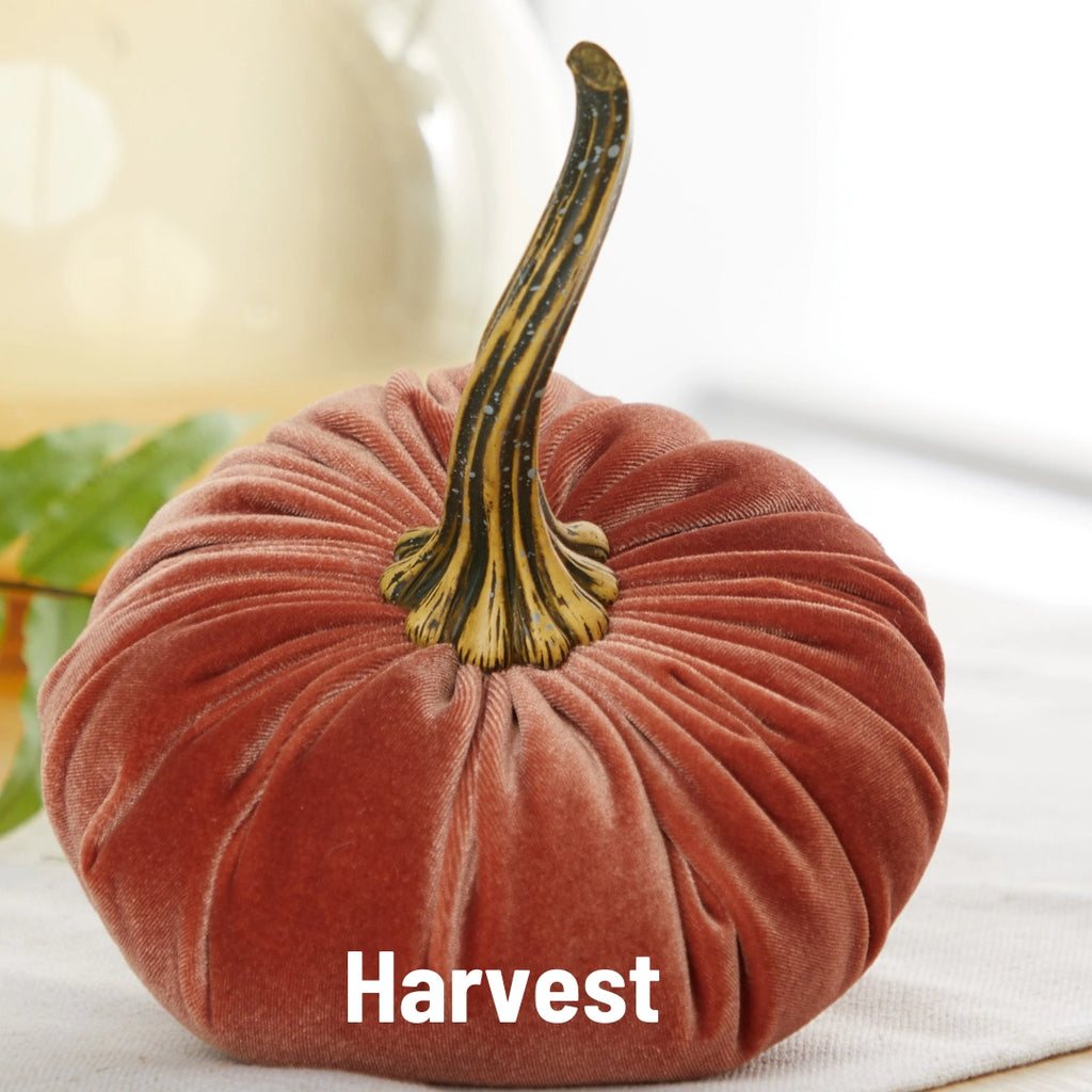 Pumpkin Large Velvet | Assorted Colors