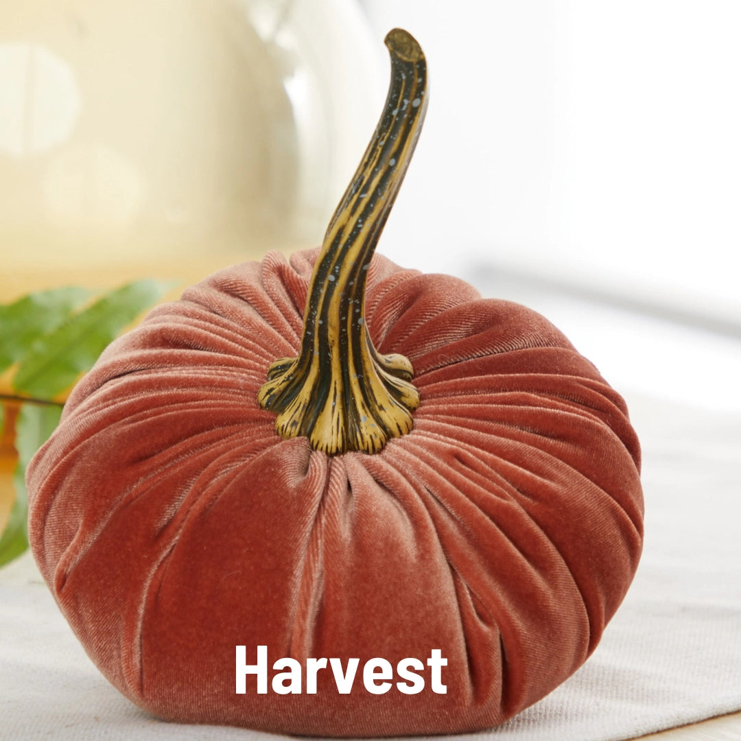 Pumpkin Large Velvet | Assorted Colors