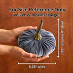 Pumpkin Large Velvet | Assorted Colors