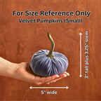 Pumpkin Small Velvet | Assorted Colors