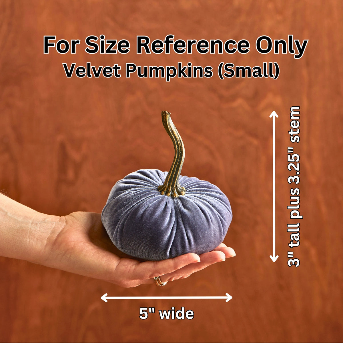 Pumpkin Small Velvet | Assorted Colors