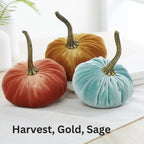 Pumpkin Small Velvet | Assorted Colors