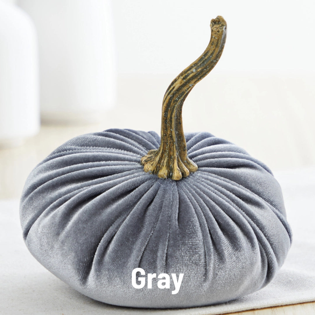 Pumpkin Small Velvet | Assorted Colors