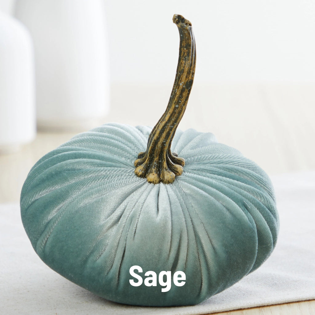 Pumpkin Small Velvet | Assorted Colors