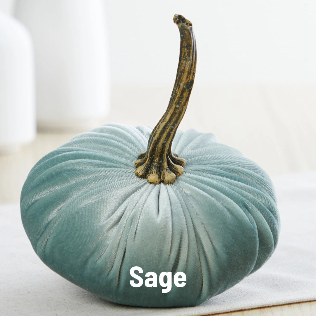 Pumpkin Small Velvet | Assorted Colors