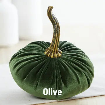 Pumpkin Small Velvet | Assorted Colors