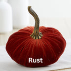 Pumpkin Small Velvet | Assorted Colors
