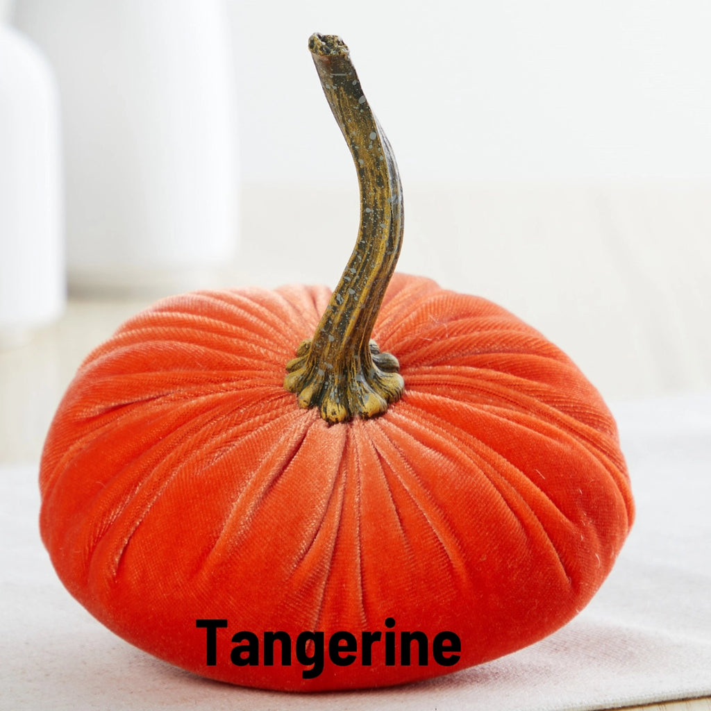 Pumpkin Small Velvet | Assorted Colors