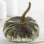 Pumpkin Small Velvet | Assorted Colors