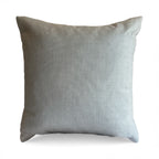 Asheville Lat Long Throw Pillow