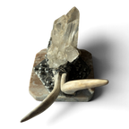 Marble Treasure Box w/ White-Tail Antler & Quartz Crystal Cluster, Sterling Silver Detail