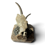 Marble Treasure Box w/ White-Tail Antler & Quartz Crystal Cluster, Sterling Silver Detail