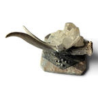 Marble Treasure Box w/ White-Tail Antler & Quartz Crystal Cluster, Sterling Silver Detail