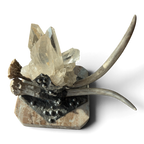 Marble Treasure Box w/ White-Tail Antler & Quartz Crystal Cluster, Sterling Silver Detail