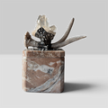 Marble Treasure Box w/ White-Tail Antler & Quartz Crystal Cluster, Sterling Silver Detail