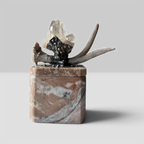 Marble Treasure Box w/ White-Tail Antler & Quartz Crystal Cluster, Sterling Silver Detail