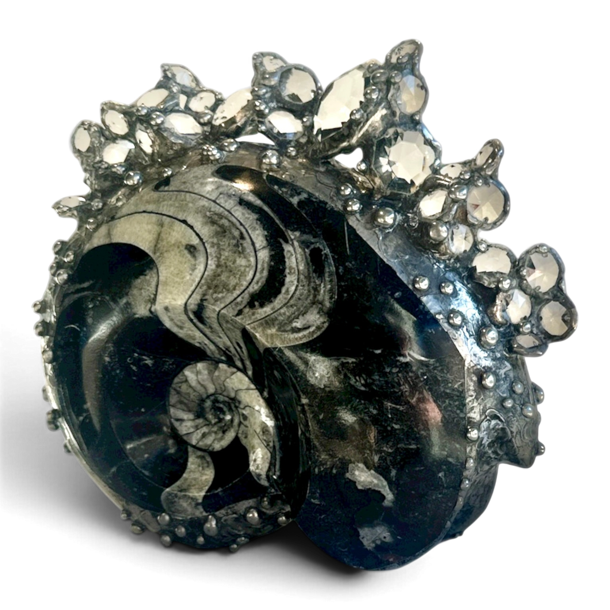 Crowned Ammonite Sculpture