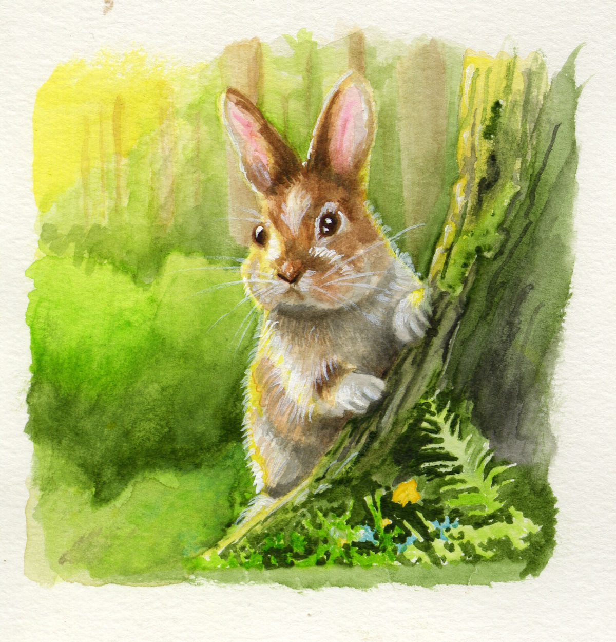 Bunny Note Card