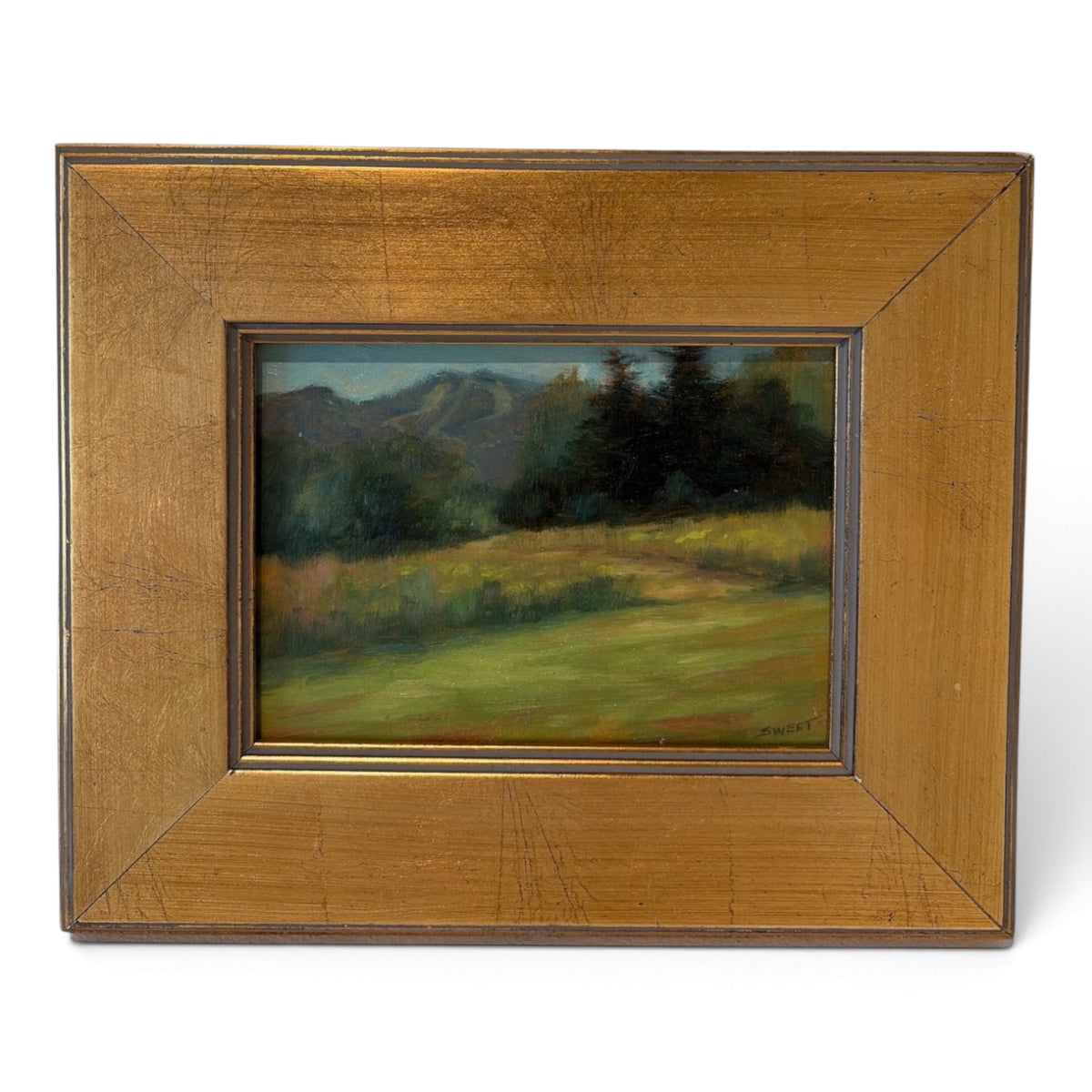 SUMMER SLOPES Framed Oil Painting