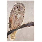 GOOD OMEN - BARRED OWL Hand-Deckled Watercolor Paper Giclee