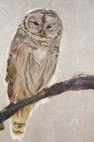 GOOD OMEN - BARRED OWL Hand-Deckled Watercolor Paper Giclee