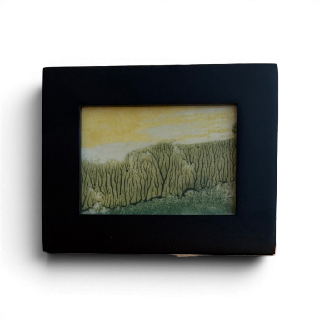 "Asheville Summer 1" Encaustic Monotype
