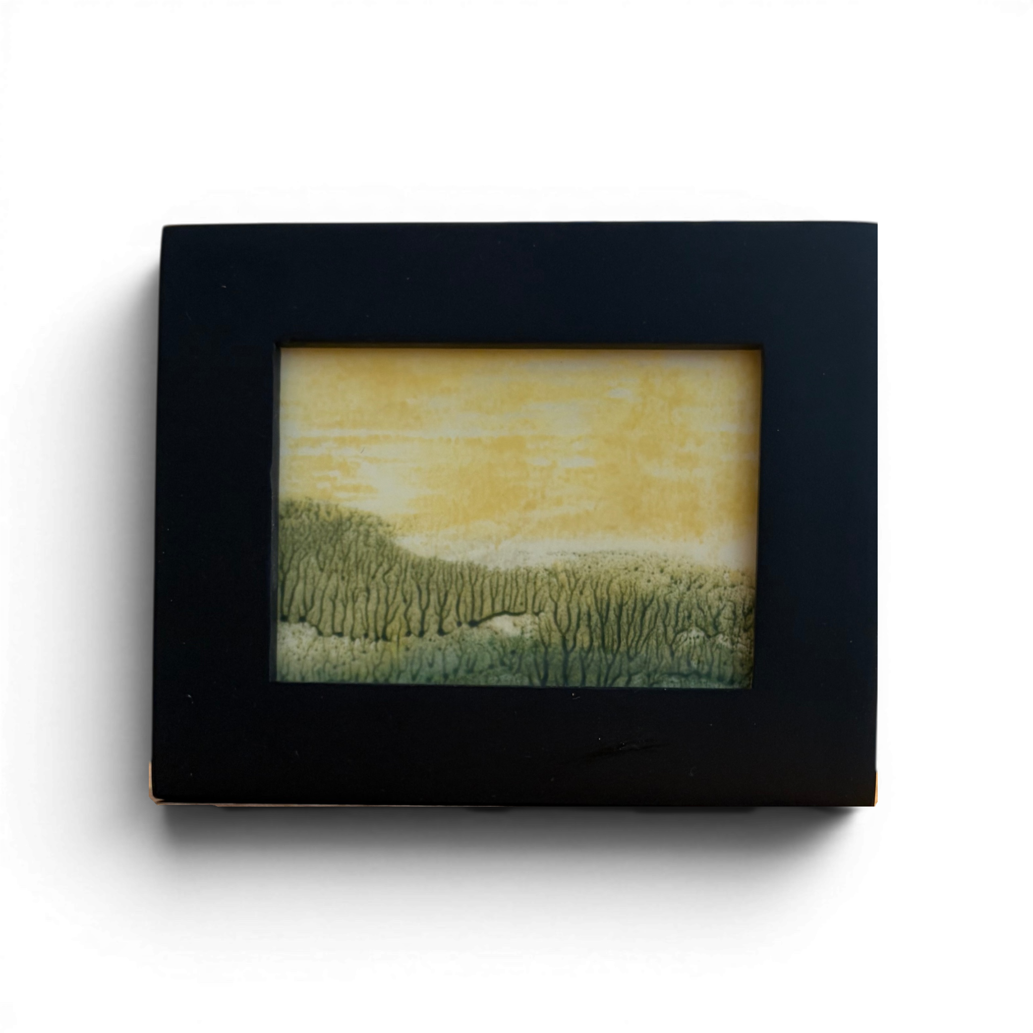 "Asheville Summer 2" Encaustic Monotype