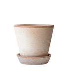 Julie 14 Rosa Pot + Saucer