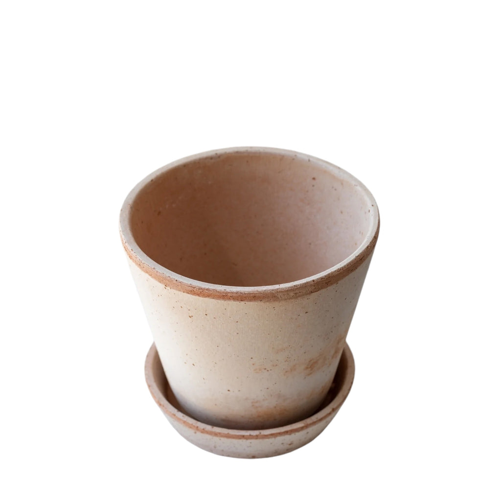 Julie 14 Rosa Pot + Saucer