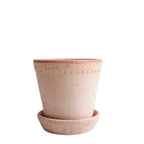 Helena 10 Rosa Pot + Saucer