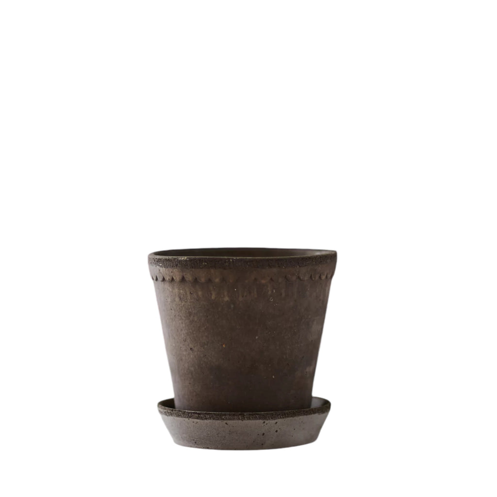 Helena 8 1/2 Nordic Grey Pot + Saucer