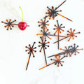 Tortoise Retro Starburst Acrylic Appetizer Cocktail Pick Set